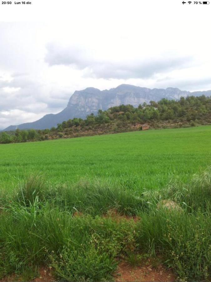 Vistas A La Montana En Un Pueblo Con Encanto. El Pueyo de Araguás 외부 사진