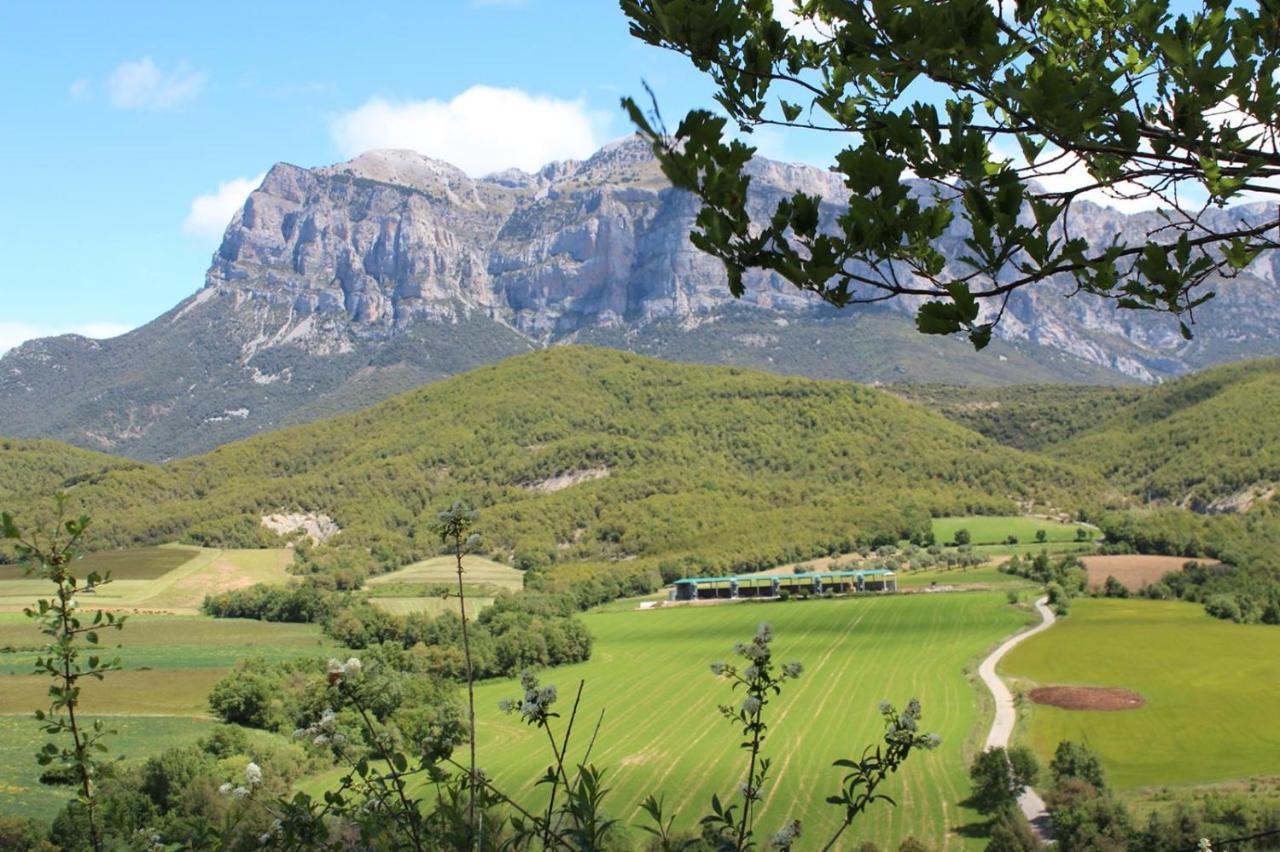Vistas A La Montana En Un Pueblo Con Encanto. El Pueyo de Araguás 외부 사진
