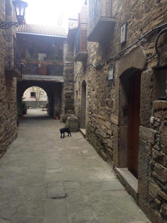 Vistas A La Montana En Un Pueblo Con Encanto. El Pueyo de Araguás 외부 사진